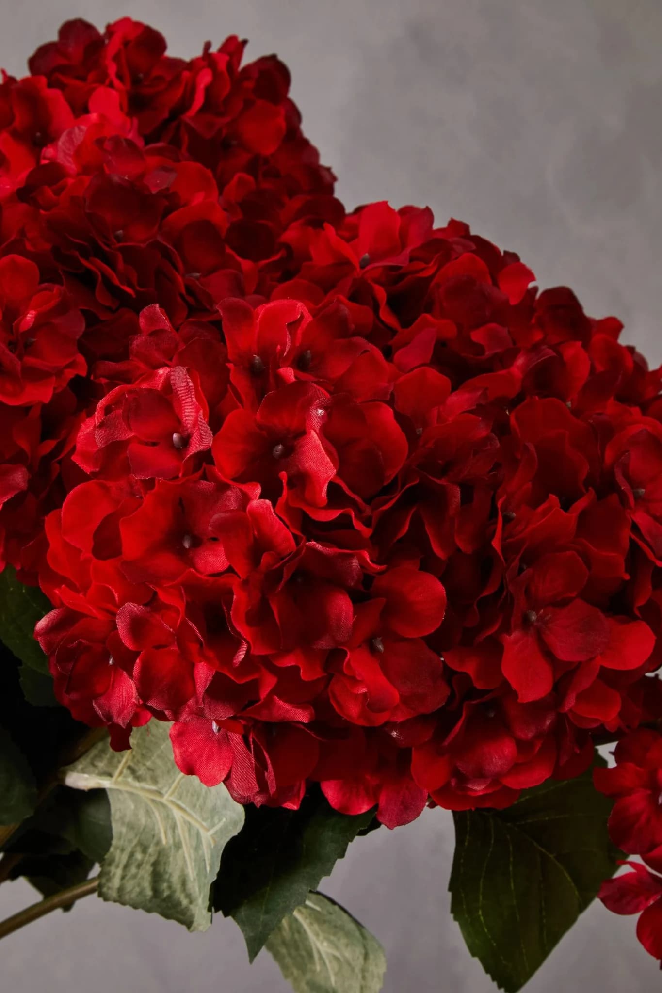 Fiori Red Hydrangea Flower Stem - Decorative, photo 4 of 8