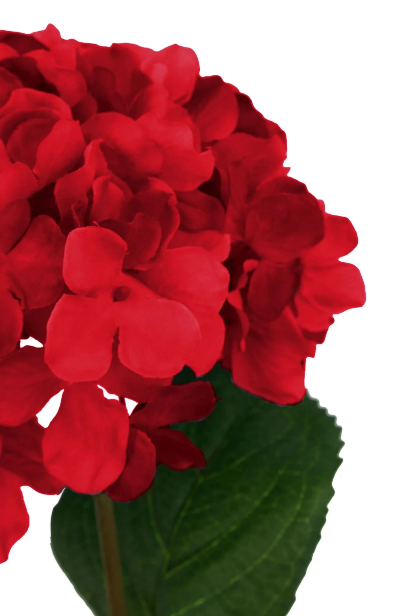 Fiori Red Hydrangea Flower Stem - Decorative, photo 8 of 8