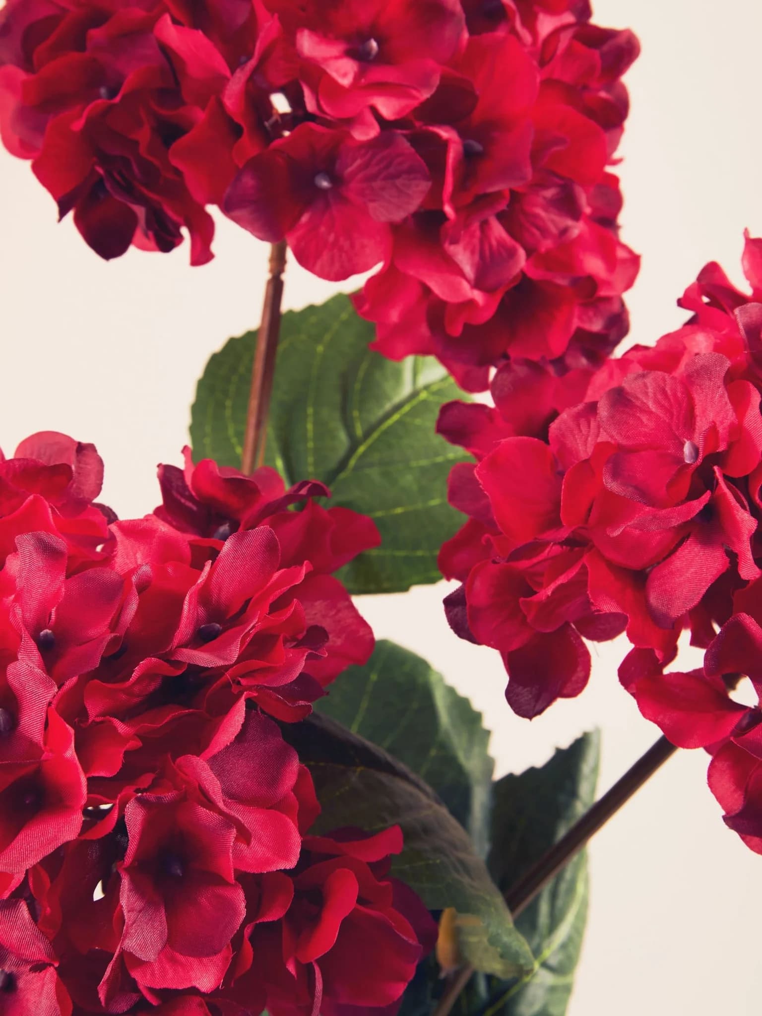 Fiori Red Hydrangea Flower Stem - Decorative, photo 2 of 8