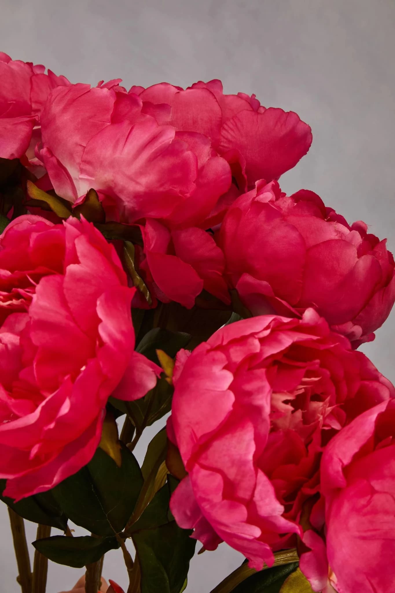 Fiori Fuchsia Peony Flower Stem - Decorative, photo 5 of 8