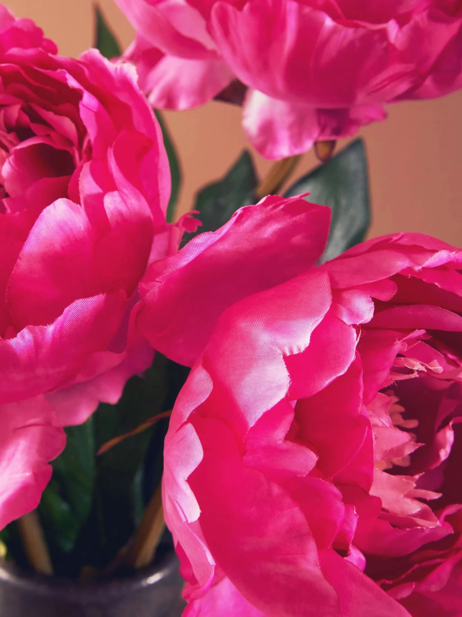 Fiori Fuchsia Peony Flower Stem - Decorative, photo 3 of 8