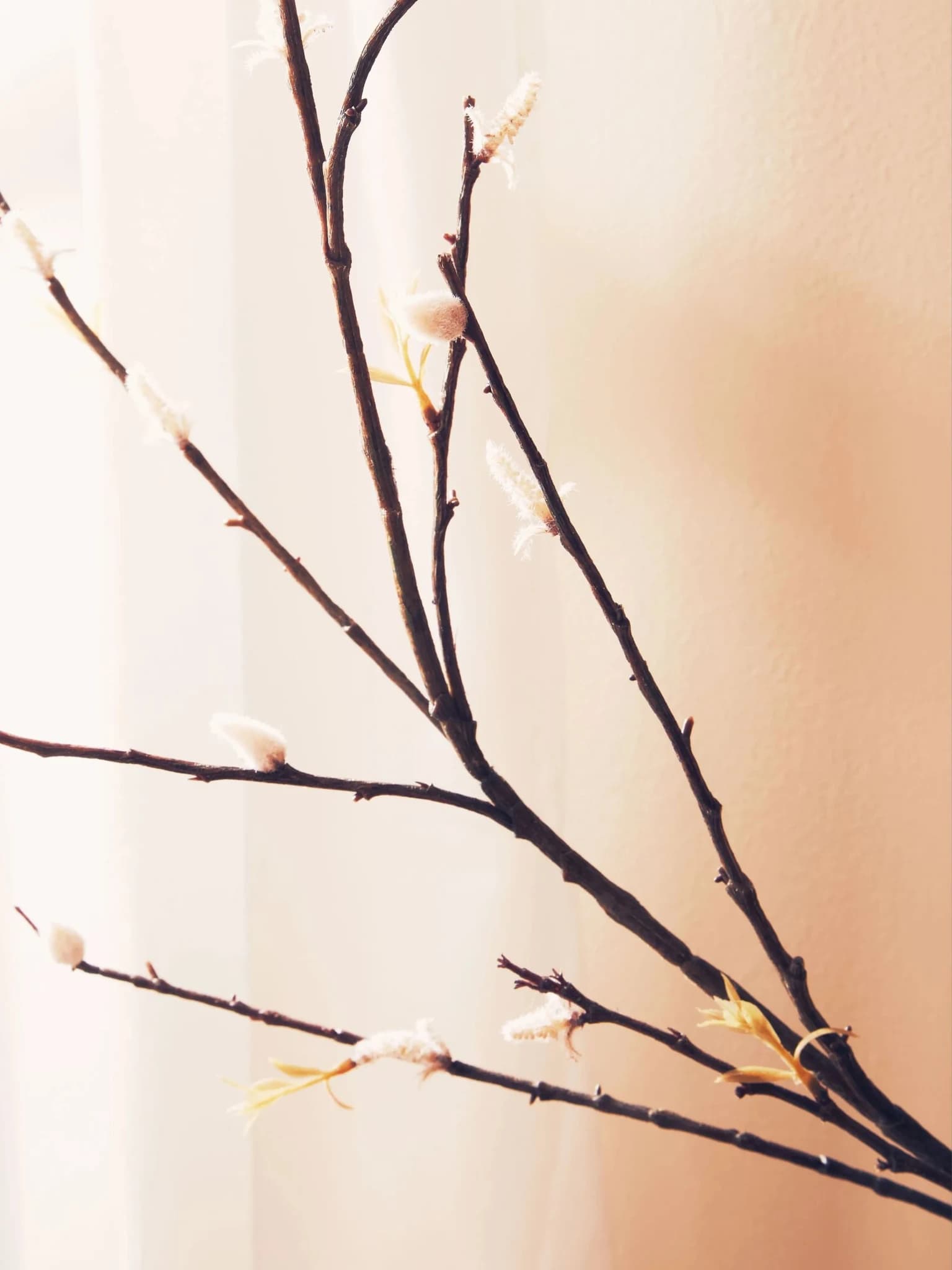 Fiori Tall Pink Cherry Blossom Spray Flower Stem - Decorative, photo 2 of 8