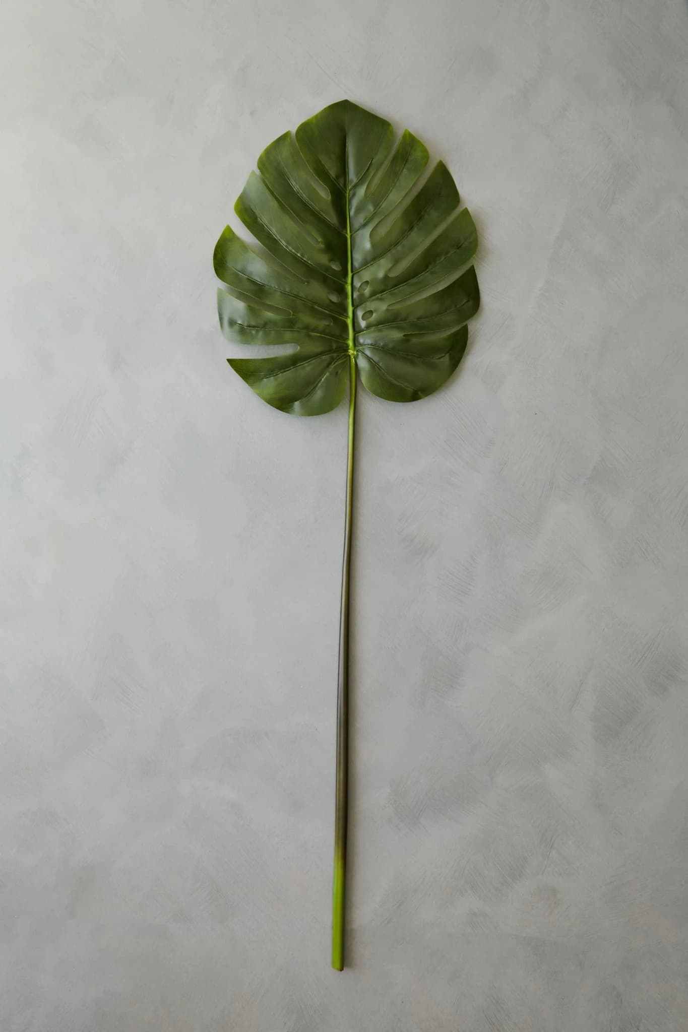 Fiori Tall Monstera Palm Stem - Decorative, photo 7 of 8