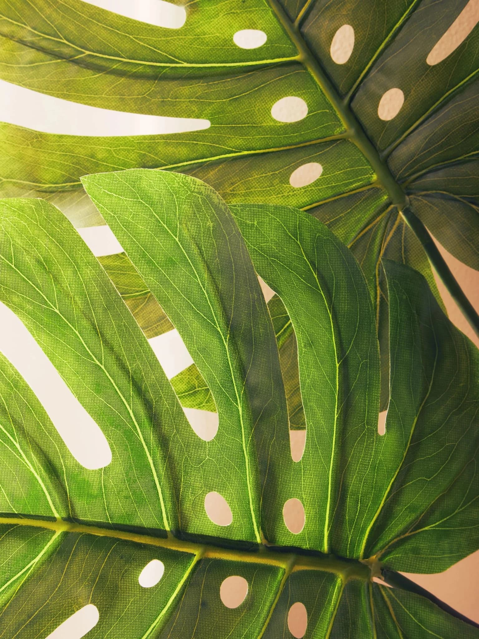 Fiori Tall Monstera Palm Stem - Decorative, photo 4 of 8