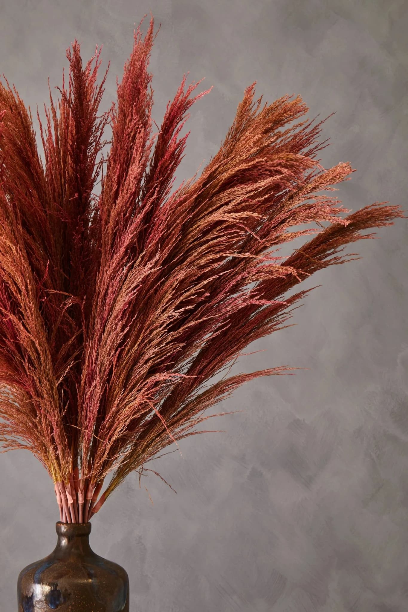 Fiori Tall Pink Pampas Grass Stem - Decorative, photo 5 of 8