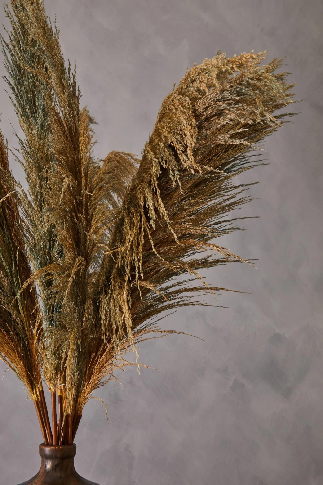 Fiori Blue Tall Pampas Grass Stem - Decorative, photo 5 of 8
