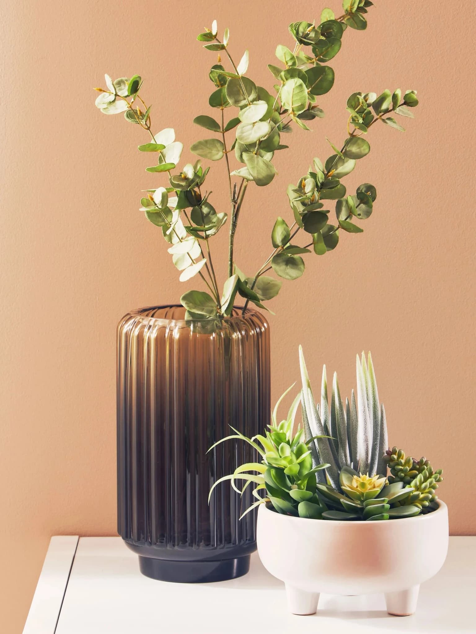 Fiori Mixed Succulents In Large White Ceramic Pot - Decorative, photo 3 of 8
