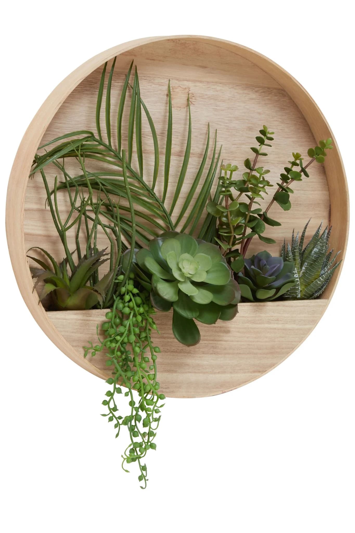 Fiori Mixed Succulents In Wood Wall Planter - Decorative, photo 5 of 8
