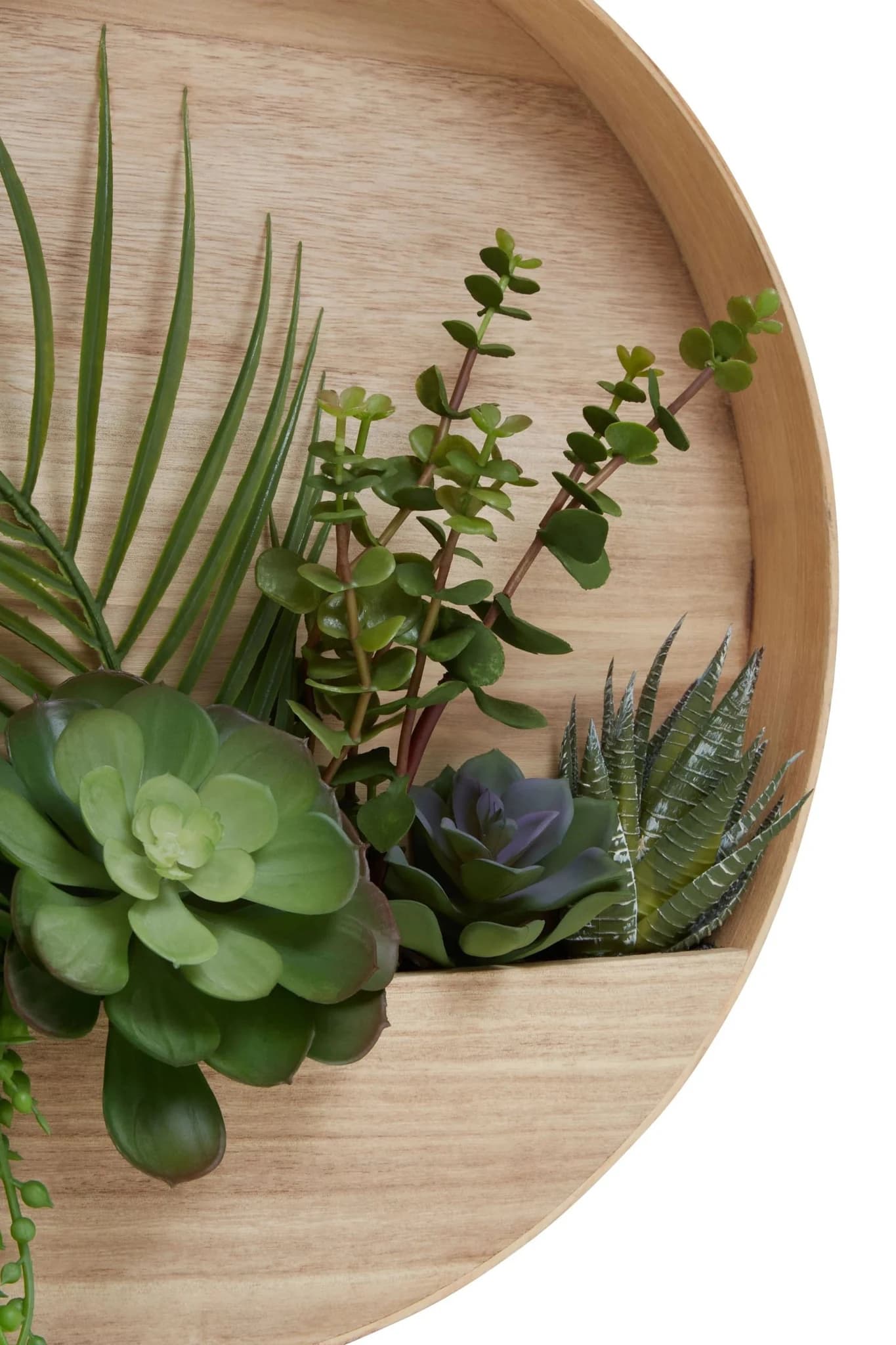 Fiori Mixed Succulents In Wood Wall Planter - Decorative, photo 7 of 8