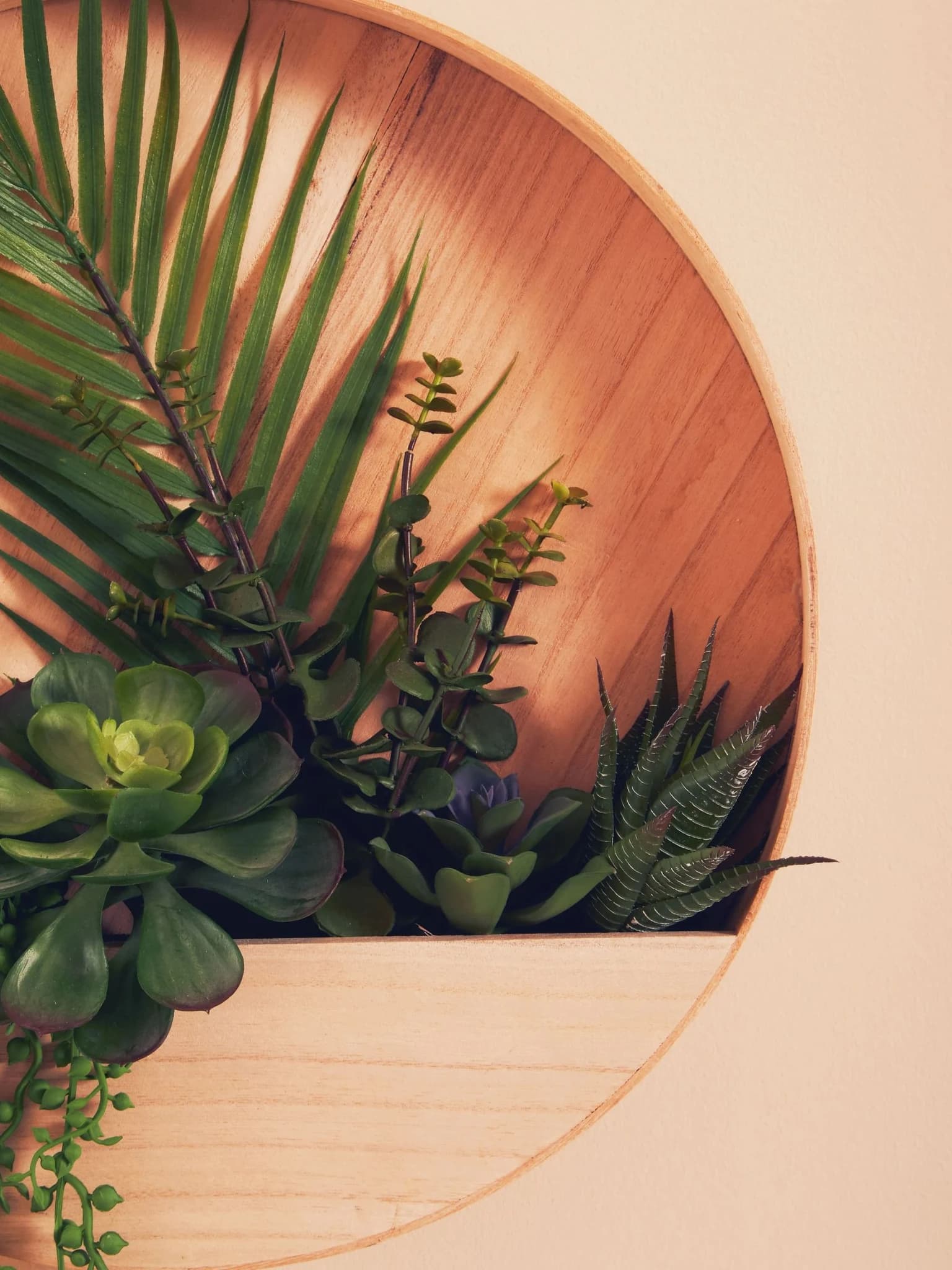 Fiori Mixed Succulents In Wood Wall Planter - Decorative, photo 2 of 8