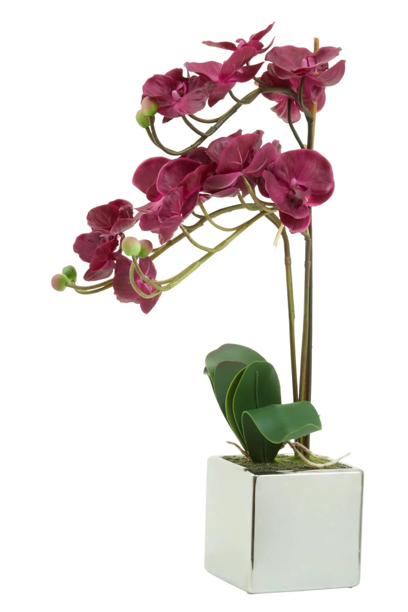 Fiori Purple Orchid in Silver Pot - Decorative, photo 7 of 8