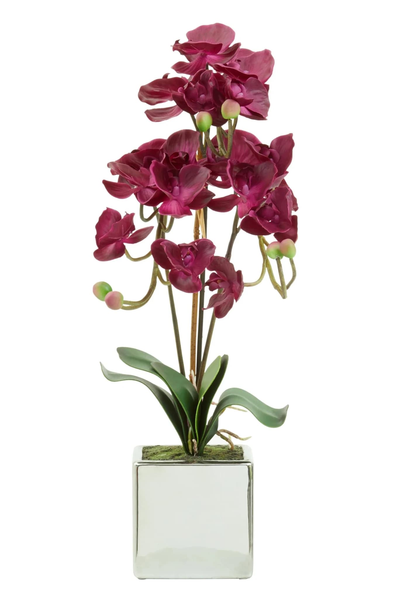 Fiori Purple Orchid in Silver Pot - Decorative, photo 6 of 8