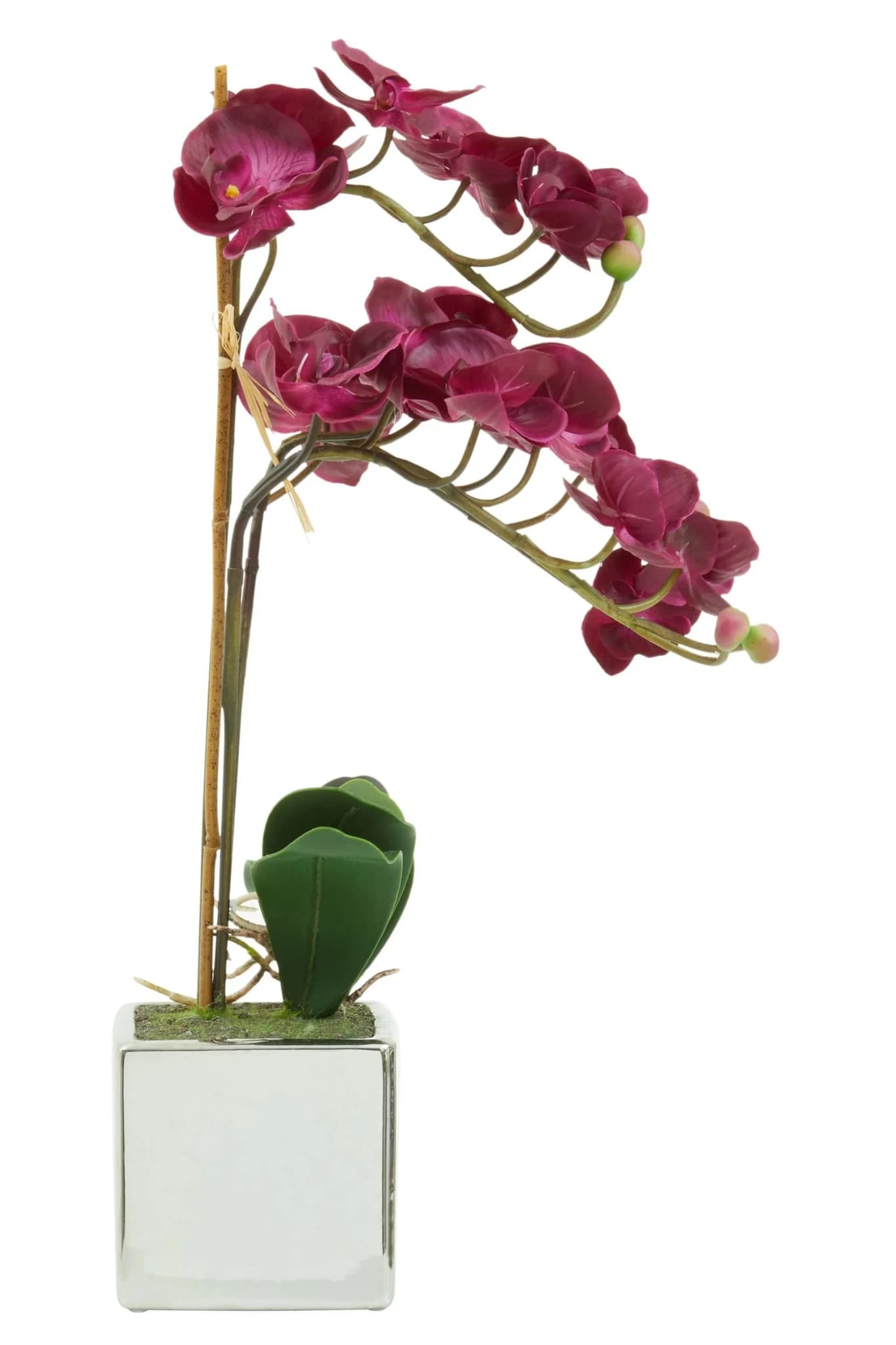 Fiori Purple Orchid in Silver Pot - Decorative, photo 5 of 8