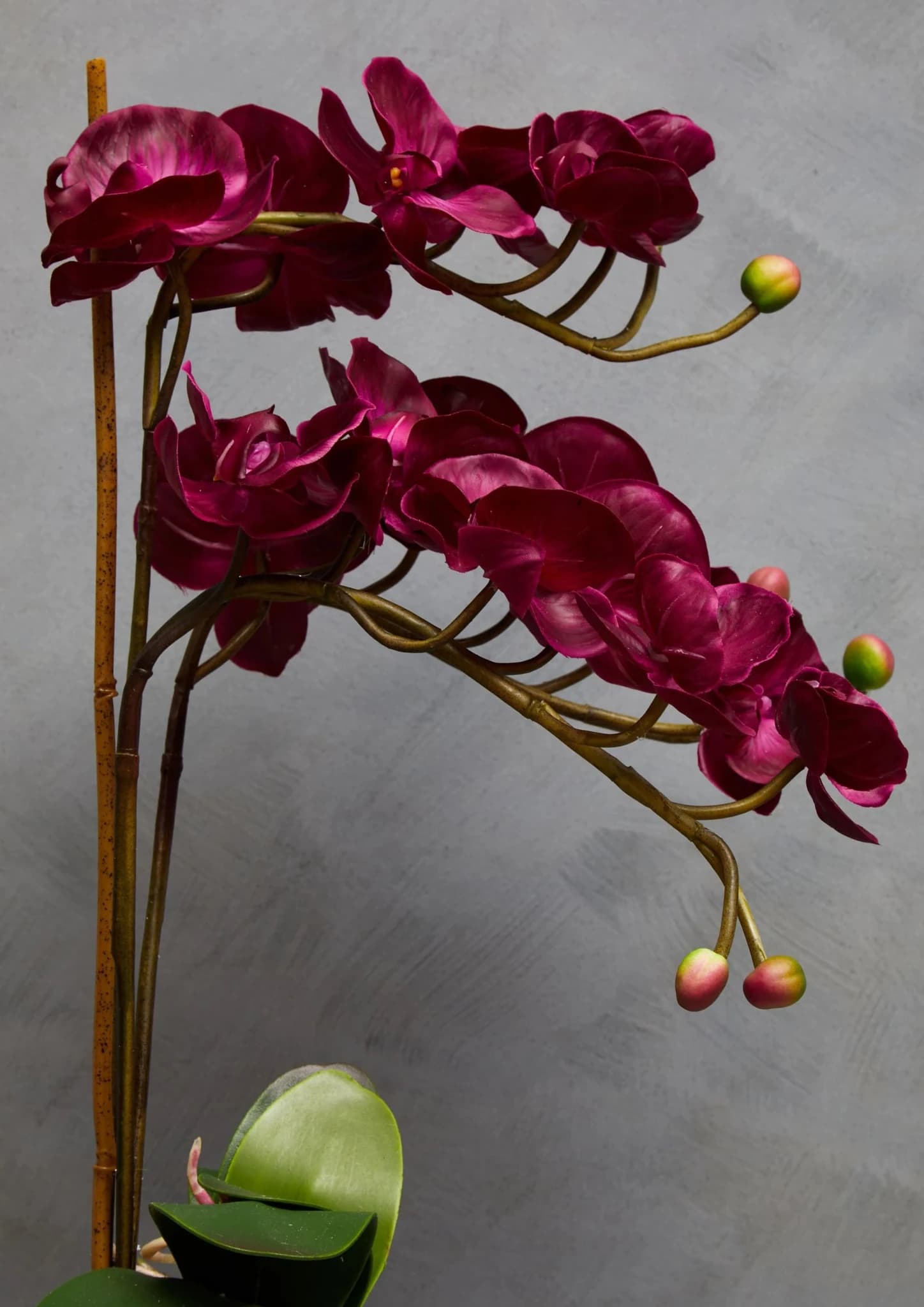 Fiori Purple Orchid in Silver Pot - Decorative, photo 3 of 8