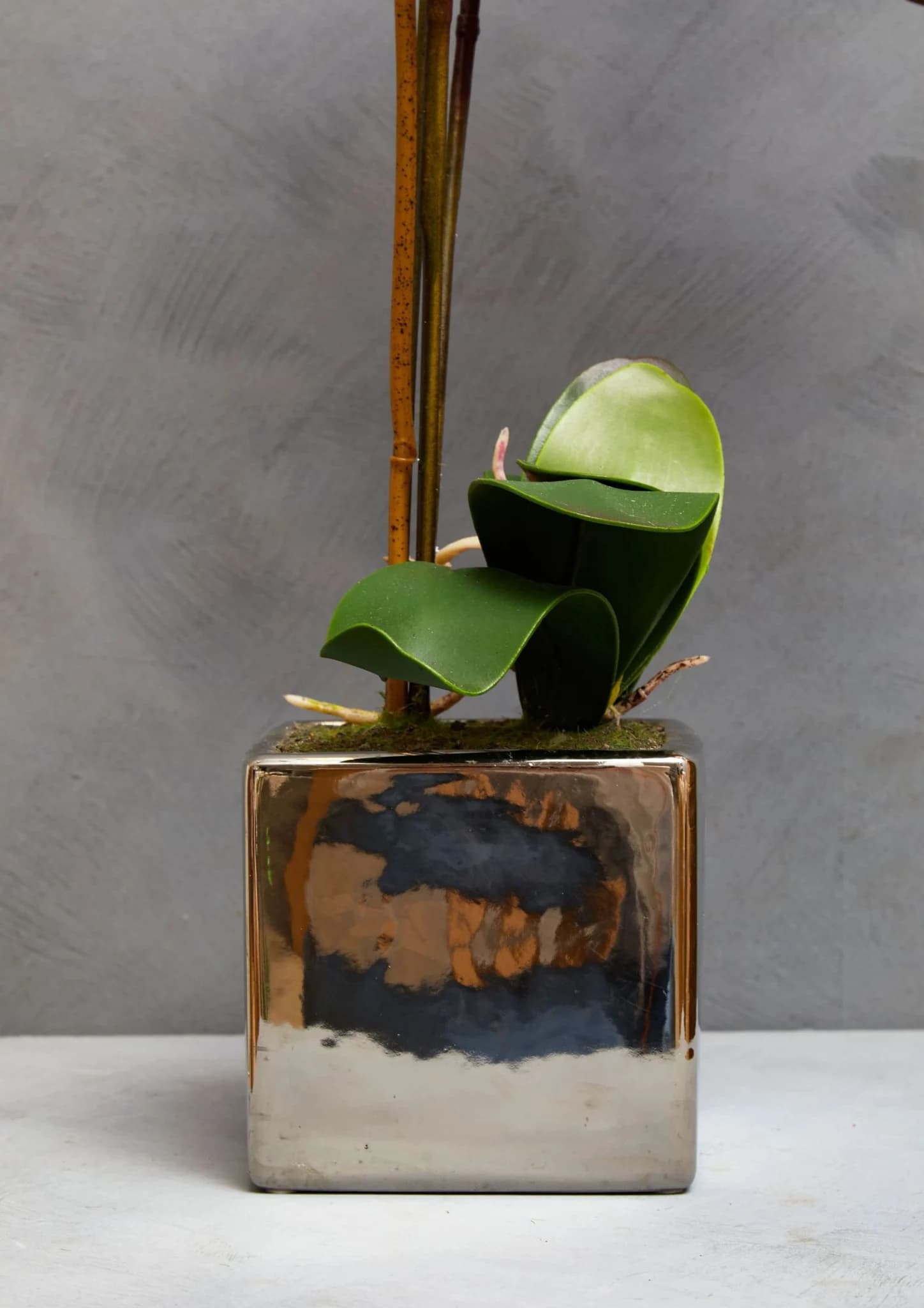 Fiori Purple Orchid in Silver Pot - Decorative, photo 2 of 8