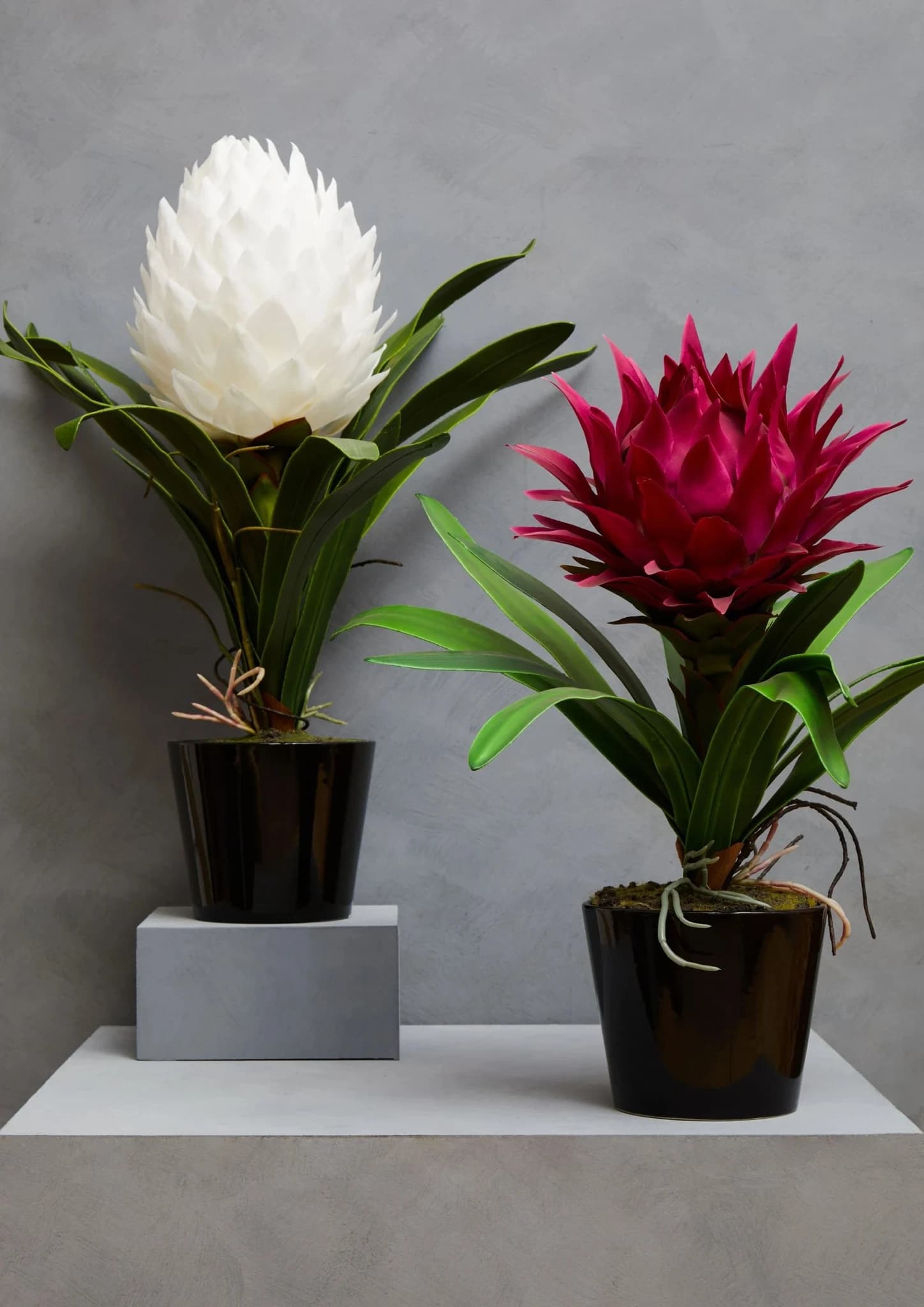 Fiori White Tropical Plant in Black Pot - Decorative, photo 5 of 8