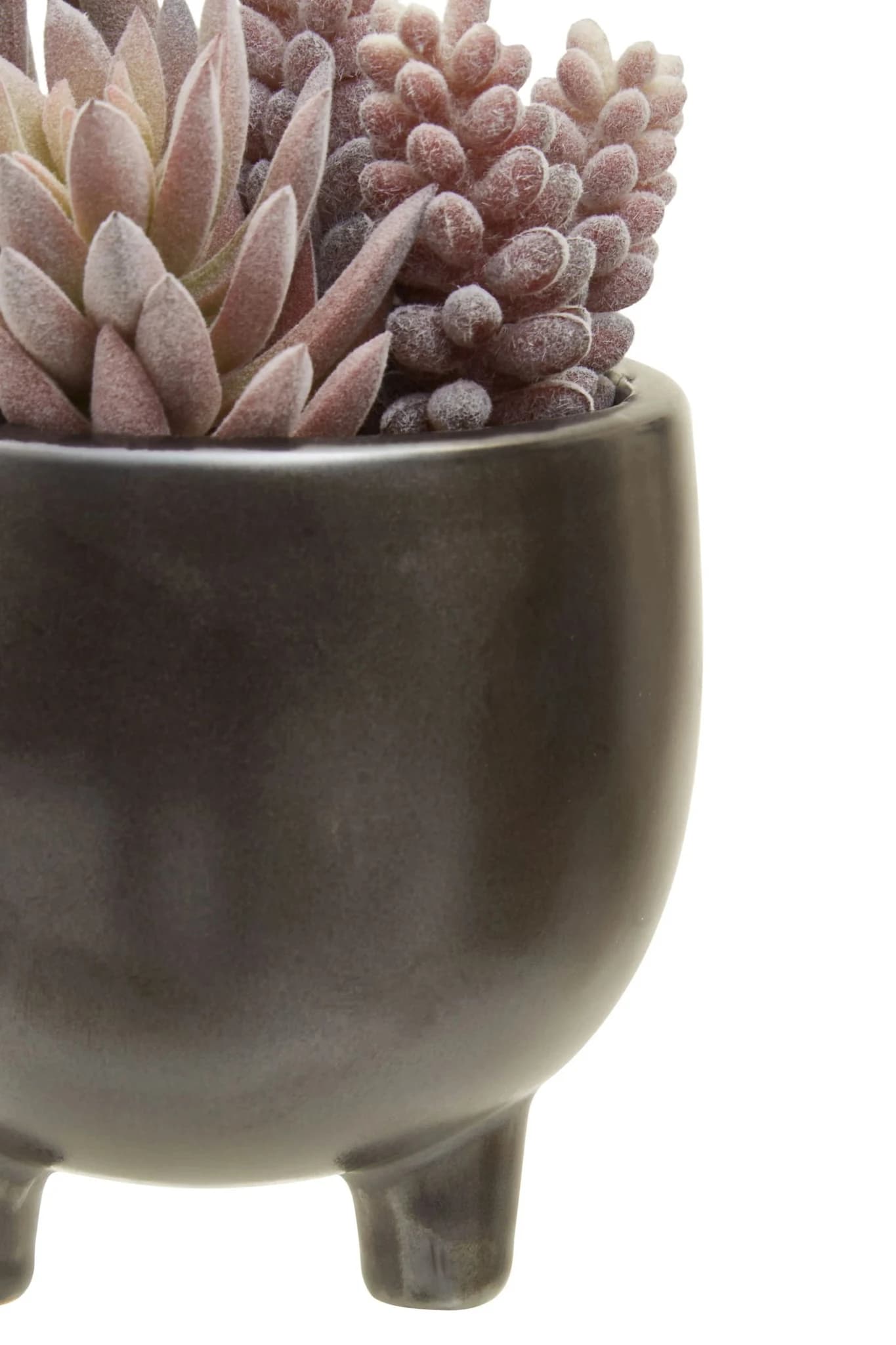 Fiori Mixed Succulents In Small Grey Ceramic Pot - Decorative, photo 8 of 8