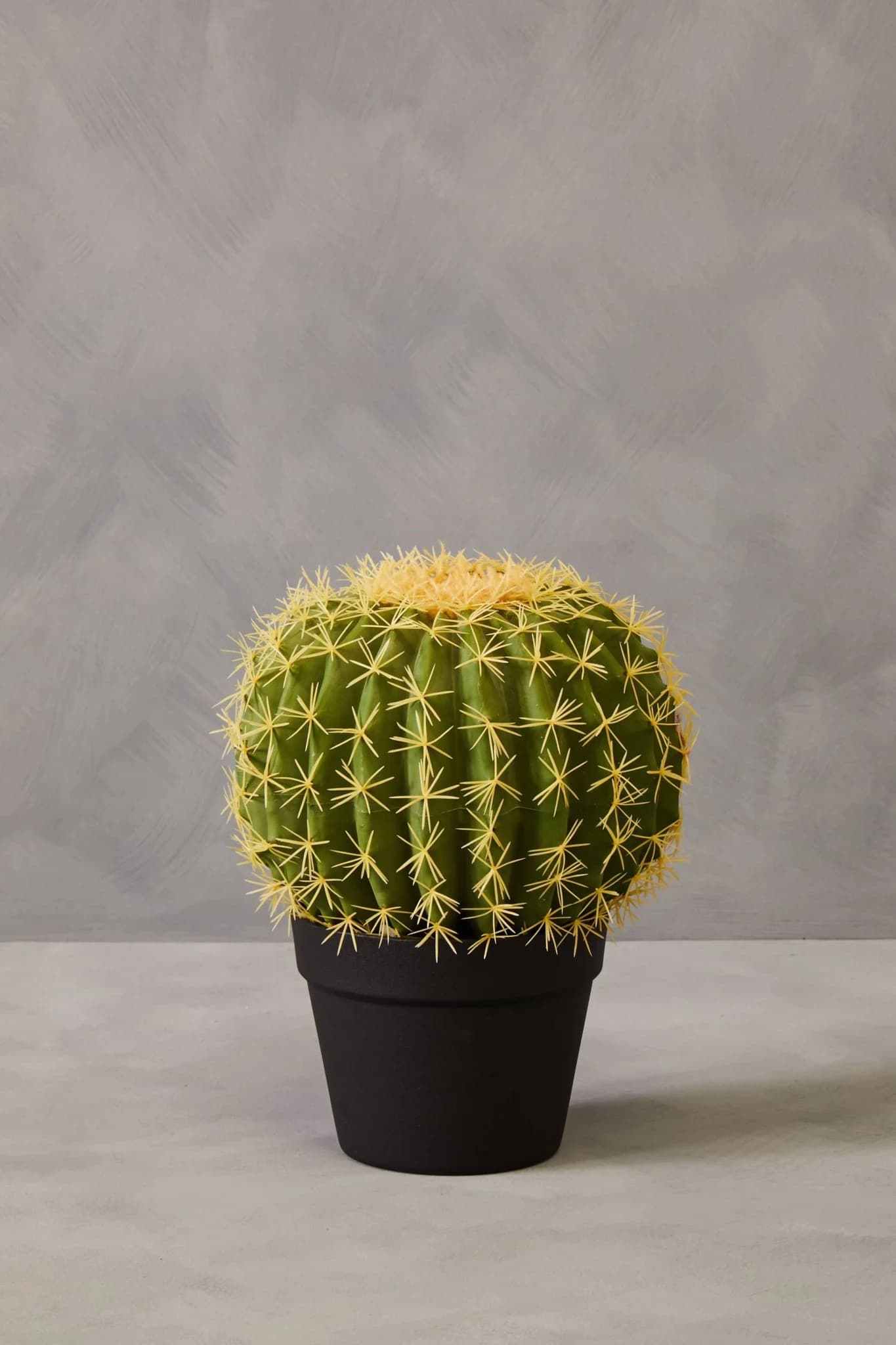 Fiori Round Cactus in Pot - Decorative, photo 8 of 8