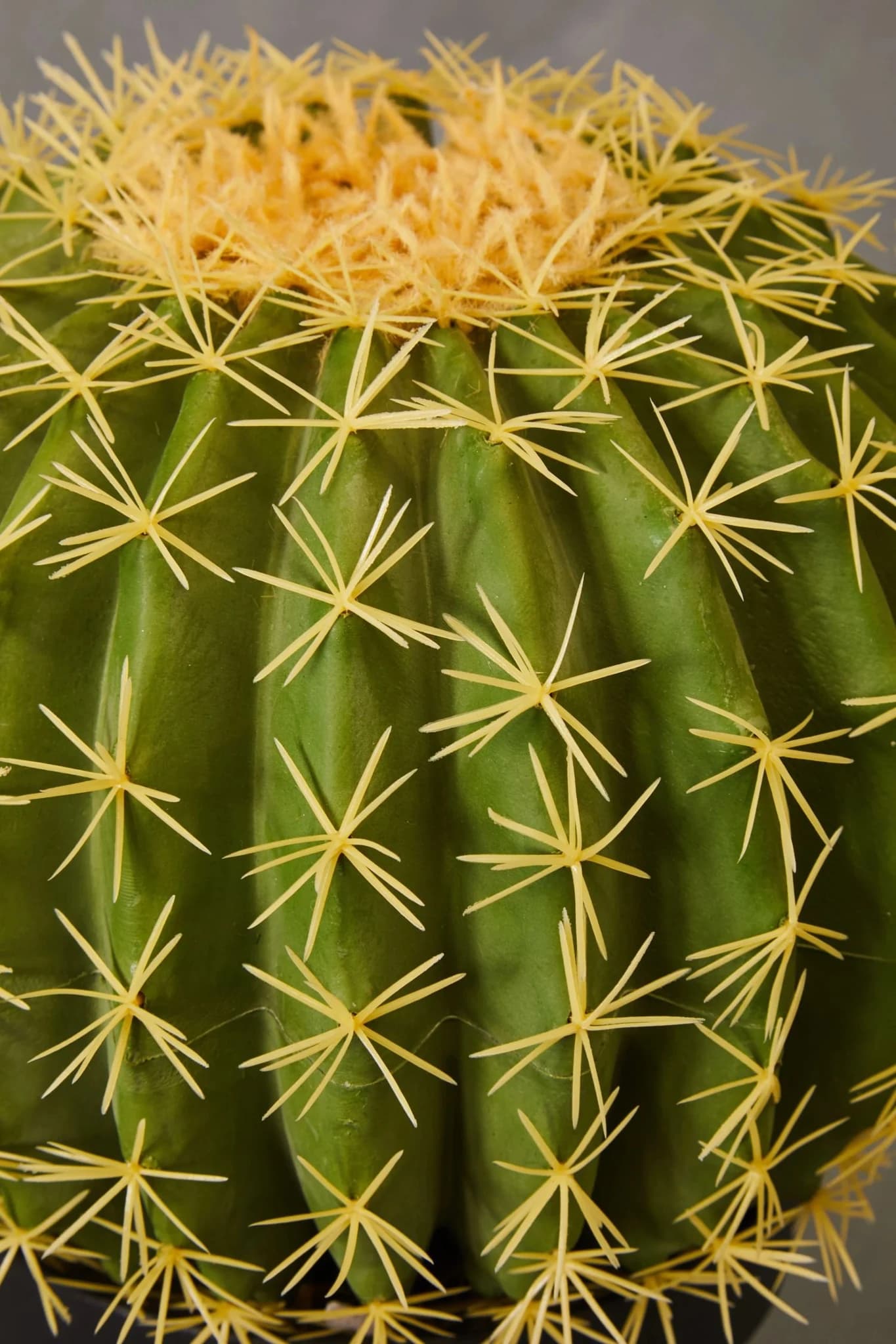 Fiori Round Cactus in Pot - Decorative, photo 6 of 8