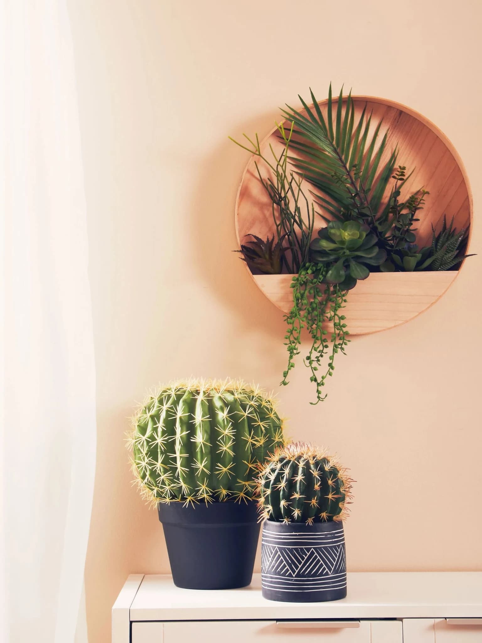 Fiori Round Cactus in Pot - Decorative, photo 5 of 8