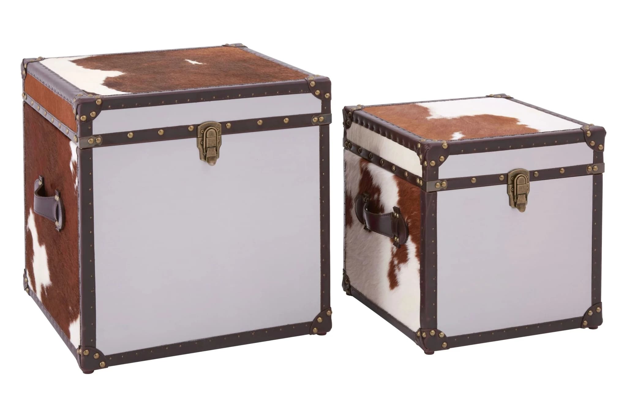 Kensington Townhouse Set of 2 Hair on Leather Storage Trunks - Bookcases & shelving, photo 5 of 7