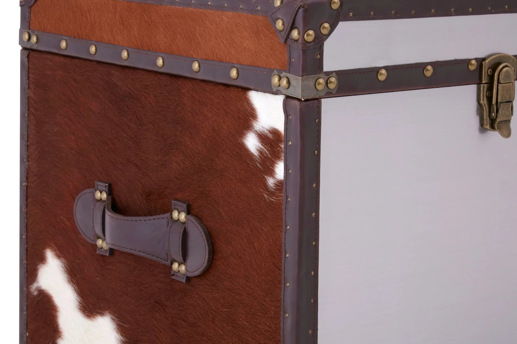 Kensington Townhouse Set of 2 Hair on Leather Storage Trunks - Bookcases & shelving, photo 7 of 7