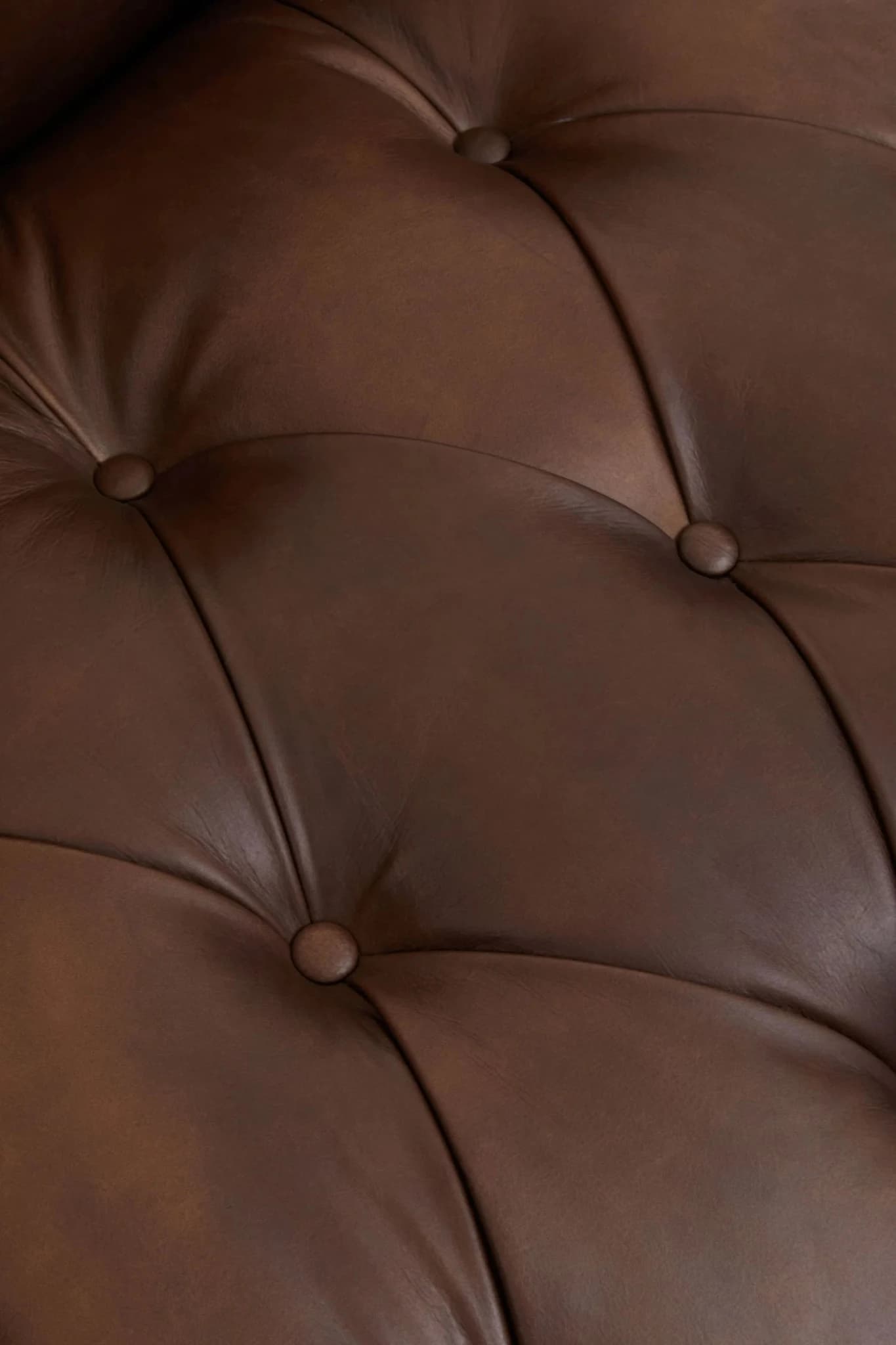 King Dark Brown Leather Three Seat Modern Chesterfield Sofa - Seating, photo 6 of 8