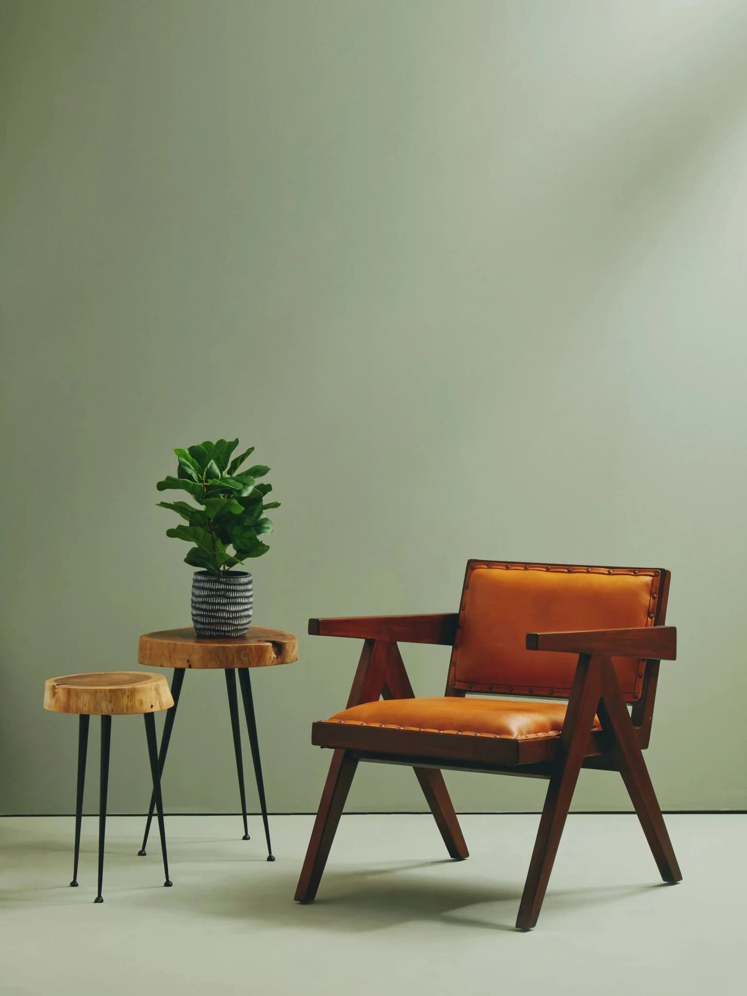 Inca Tan Leather Dining Chair - Seating, photo 4 of 8