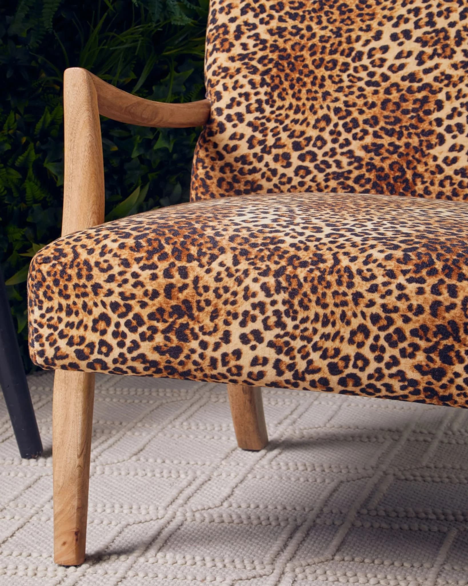 Cefena Leopard Print and Mango Wood Chair - Seating, photo 2 of 8