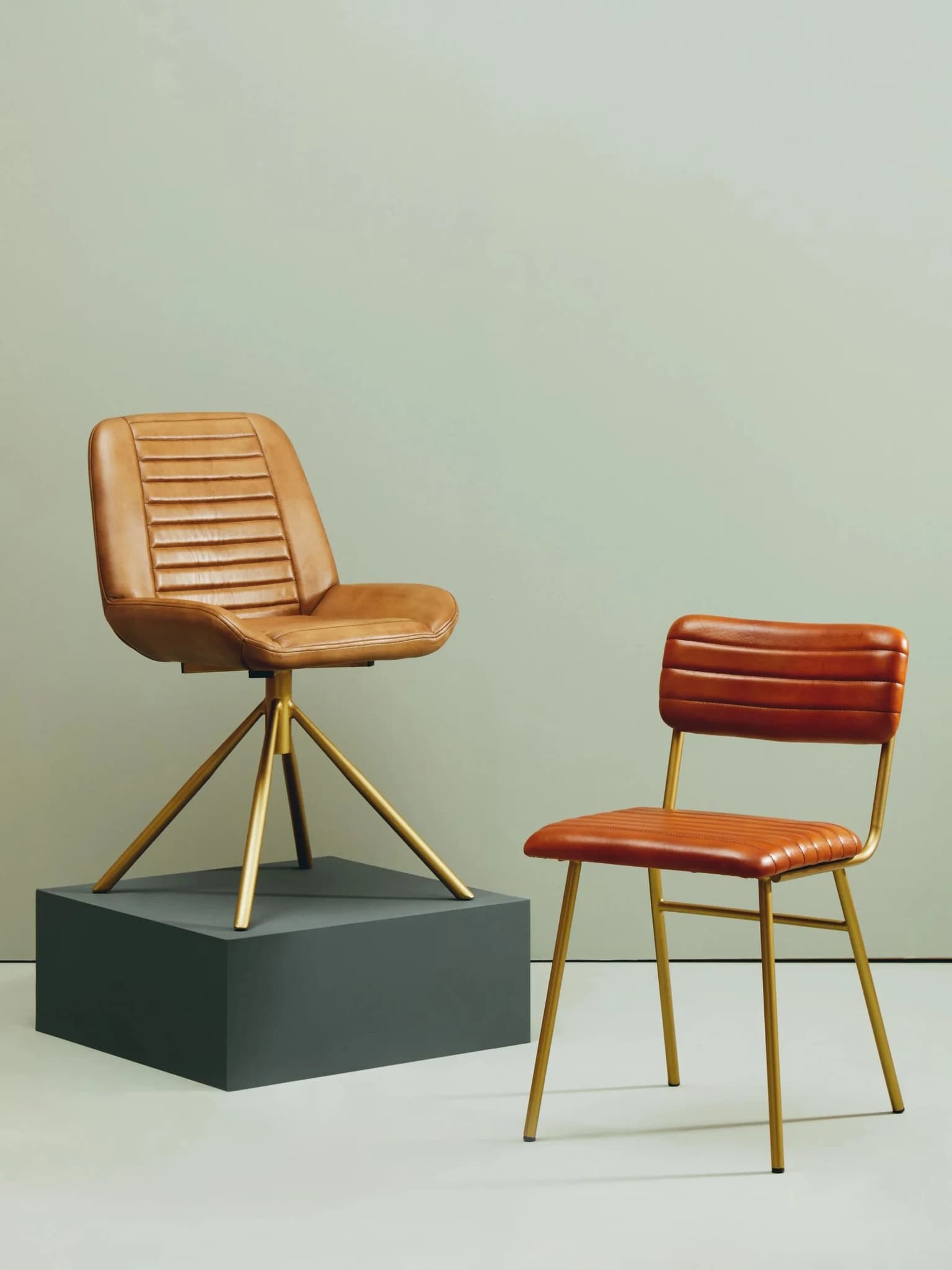 Buffalo Tan Leather Dining Chair With Gold Finish Frame - Seating, photo 2 of 8