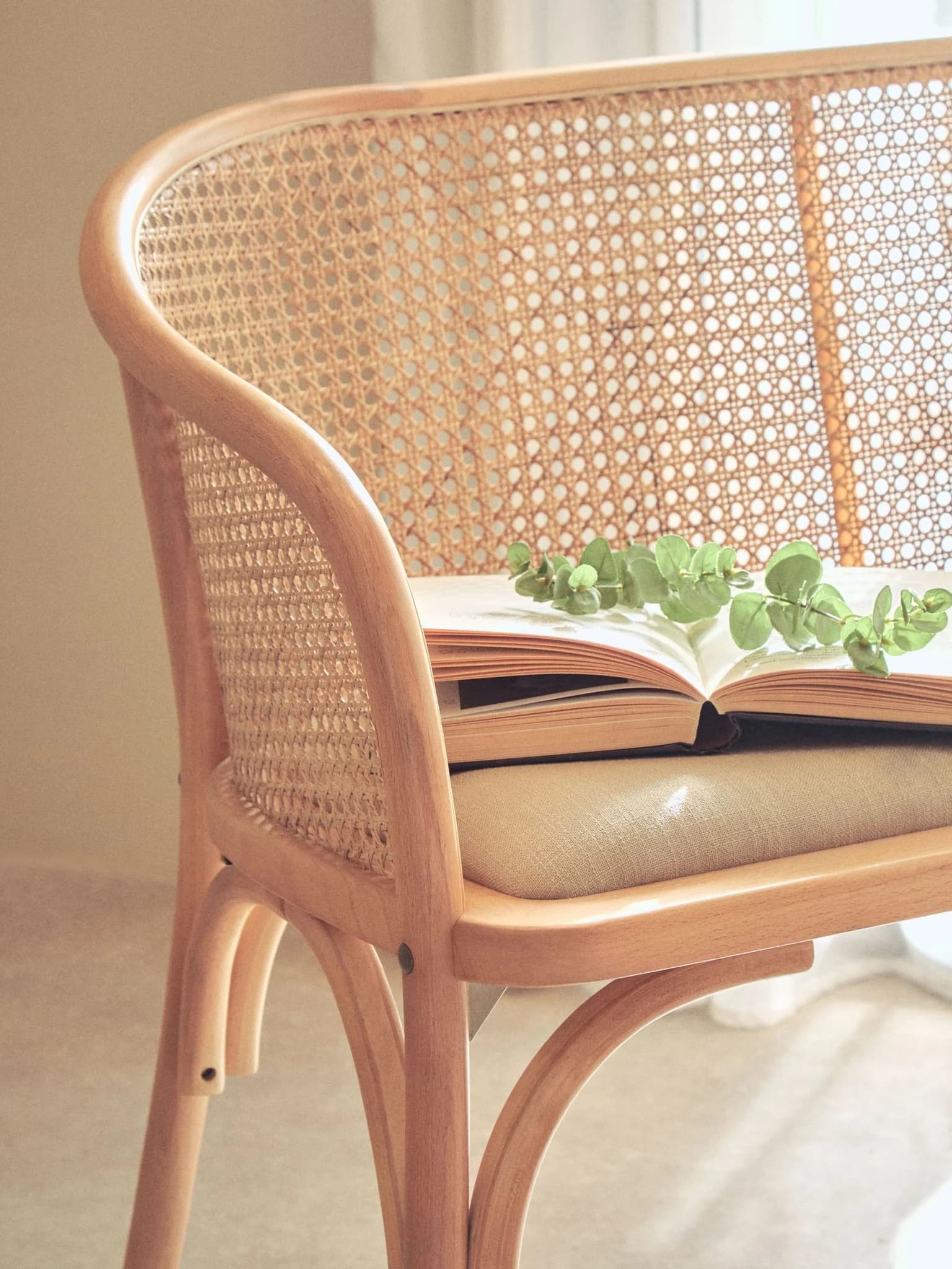 Cebu Natural Cane and Beech Wood Bench with Backrest - Seating, photo 3 of 8