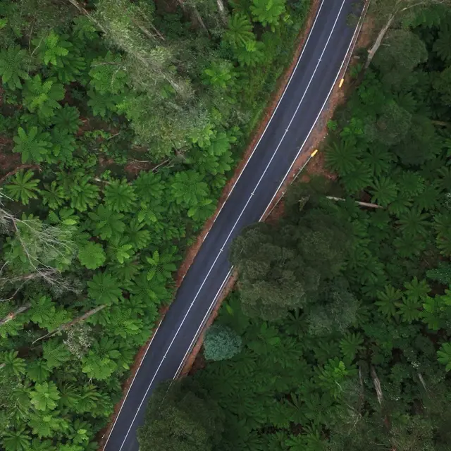 Aerial view of a road winding through dense forest