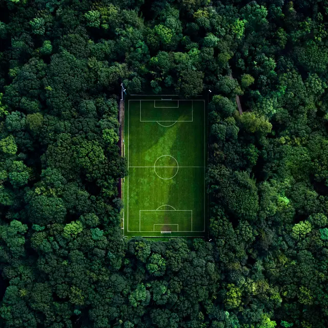 Aerial view of a football pitch surrounded by dense woodland